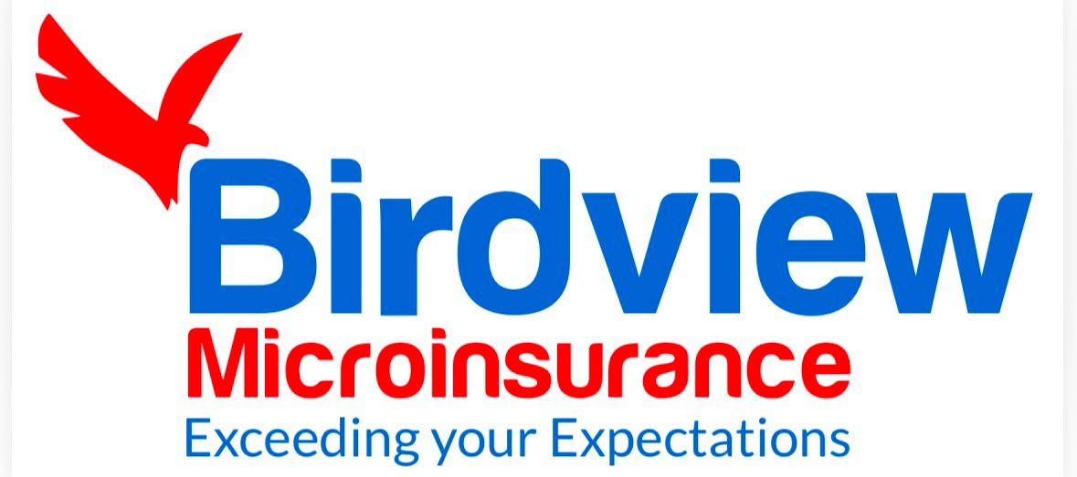 Birdview logo