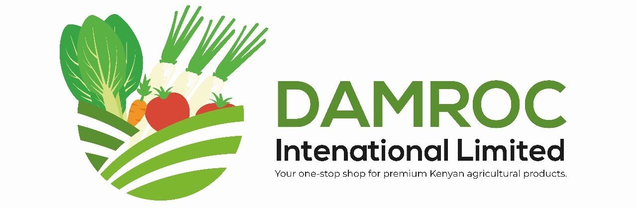 Damroc International